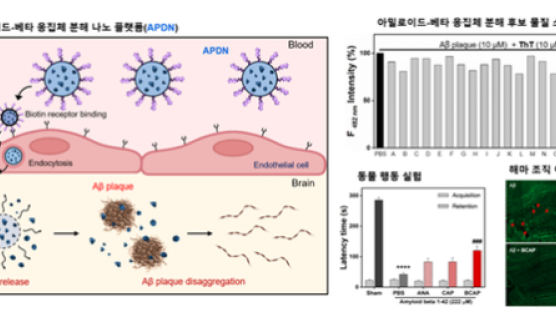 알츠하이머병 치료 위한 차세대 나노 플랫폼 개발