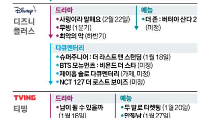 강수연의 마지막 작품, ‘그알’ PD의 신작…OTT 신상 오리지널 몰려온다