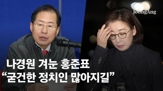 나경원 겨눈 홍준표 "수양버들 아닌 굳건한 정치인 많아지길"