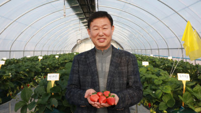 [시선집중] 딸기 신품종 개발 및 국산품종 자급화