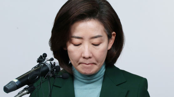 "당 위한 충정, 죽었다 깨도 반윤은 안 된다"…나경원 측근이 밝힌 불출마 소회