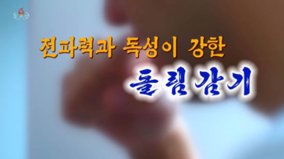 "돌림감기 즉시격리"…북한TV, 독감 프로그램 긴급 편성