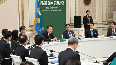 금융위 "금융사 CEO 셀프 연임·성과급 잔치 막겠다"...지배구조법 개정