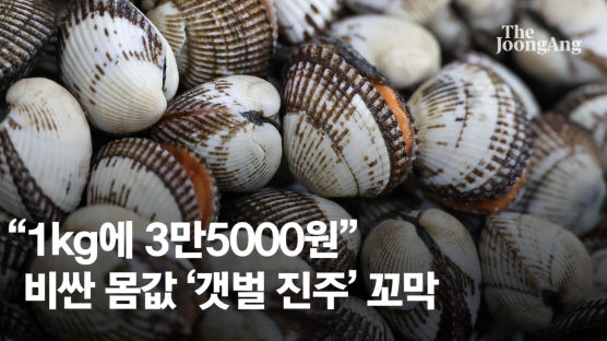 뻘배는 안다..."1㎏ 3만5000원" 기와지붕 꼬막값 35배 뛴 이유[e슐랭 토크]