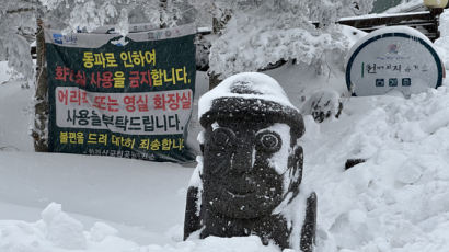 요강 들고 1100m 오른다, 전쟁터 돼버린 제주 '눈꽃 맛집' [e즐펀한 토크]