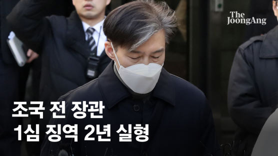 '징역 2년' 조국, 서울대 징계위 다시 열린다…"조만간 논의"