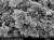 은나노입자의 주사 전자현미경 사진. [중앙포토]