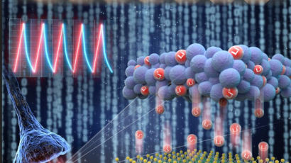 재료연, 인간 뇌와 유사한 ‘뉴로모픽’ 반도체 소자 세계 최초 개발