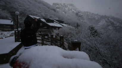 [사진] 겨울왕국 된 강원, 오늘까지 10㎝ 눈