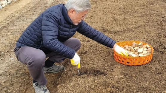 텃밭 쪼그려 앉아 감자 심고…등산하는 일상 사진 올린 文