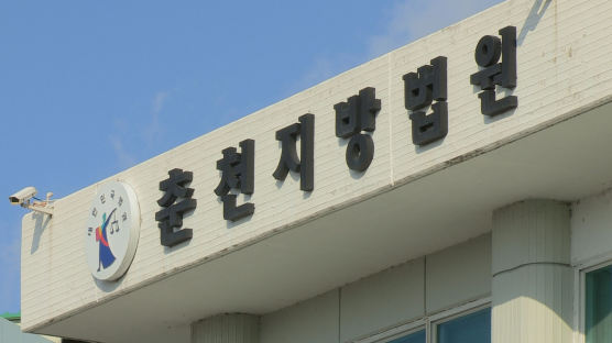 춘천 실종 초등생 충주로 유인한 50대…실종아동법 위반 혐의로 구속
