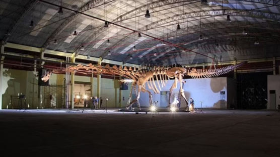 티라노사우르스보다 3배 크다…비행기 2대로 옮긴 공룡 화석
