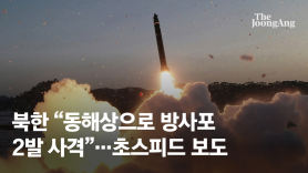 [속보] 북한 "동해상으로 방사포탄 2발 사격"…이례적 '초스피드' 보도