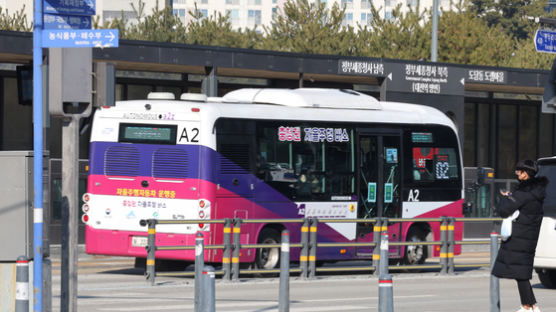 세종시민 39만명, 시내버스 공짜로 탄다…지자체 버스 요금 무료화 바람