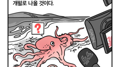 [세컷칼럼] 진짜 연포탕을 먹고 싶다