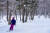 자작나무 사이를 헤쳐가며 스키를 즐기는 사람들. 홋카이도의 스키장에서는 흔한 풍경이다.