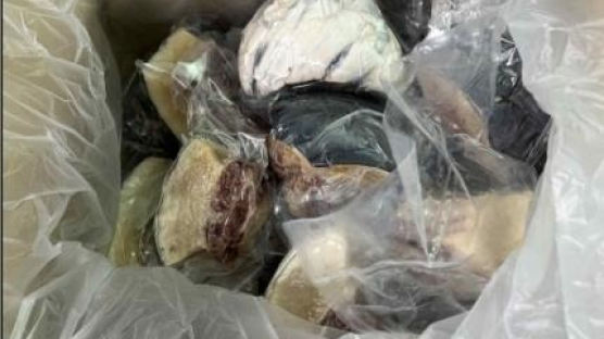 명태·어묵으로 둔갑…멸종위기 고래고기 4.6t 밀수입한 업자 구속
