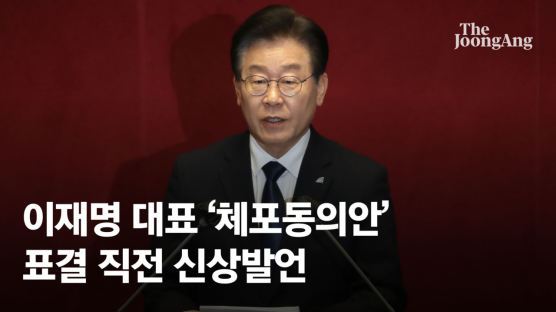 [속보] 이재명 “먼지털이 수사에도 증거 안나와…구속 사유 없어”