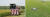 상하이 자딩(嘉定)구 와이강(外岡)진의 무인 농장에서 무인 수확기 한 대가 벼를 수확하고 있다(왼)/ 안후이(安徽)성의 한 경작지에서 드론으로 제초제를 살포하고 있는 모습(오). 사진 신화통신