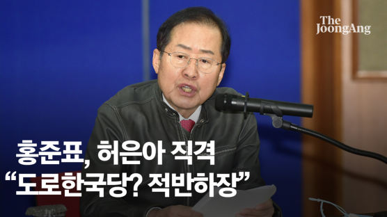 "도로한국당 막자고? 적반하장"…홍준표, 허은아 대놓고 때렸다