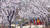  서울 용산구가 3.1절을 기념해 효창공원 인근에 조성한 태극기 거리에서 태극기가 펄럭이고 있다. 뉴시스