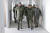 세르게이 쇼이구 러시아 국방장관(오른쪽)이 마리우폴을 방문했다며 러시아 국방부가 6일 공개한 사진. 로이터=연합뉴스 