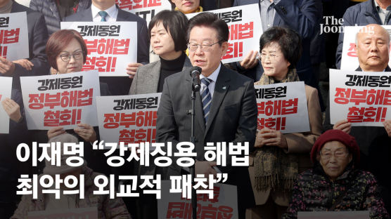 이재명 "尹정부, 피해자 모욕 느낀 강제징용 배상안 철회해야"