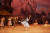 11일 서울 강서구 LG아트센터에서 파리오페라발레(POB)가 발레 '지젤'을 공연 중이다. 사진은 주인공 지젤 역을 맡은 POB의 에뚜알(수석무용수) 도로테 질베르. 사진 LG아트센터