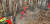 지난 11일 경남 하동군 화개면 지리산국립공원 구역에서 산불현장에서 진화 작업이 진행 중이다. [사진 산림청]