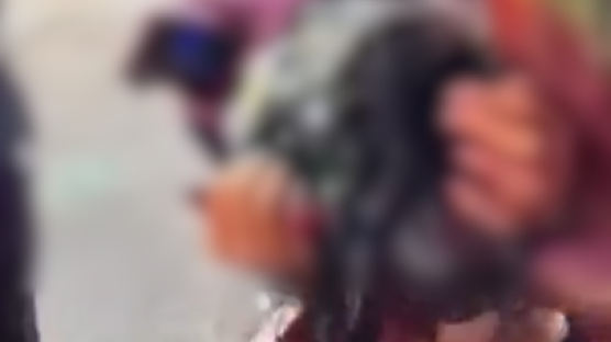 인도 남성들, 日 여성관광객 집단 희롱…"영상 매우 충격적"
