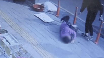 "노점상 노인 단속원이 밀쳐 어깨 골절"…공개된 CCTV영상엔 