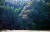 규슈올레 기리시마ㆍ묘켄 코스의 초대형 삼나무 숲길. 기리시마ㆍ묘켄 코스는 규슈올레 전체 코스 중에서도 손에 꼽는 아름다운 길이었지만 코로나 사태를 겪으며 운영이 중단됐다. 