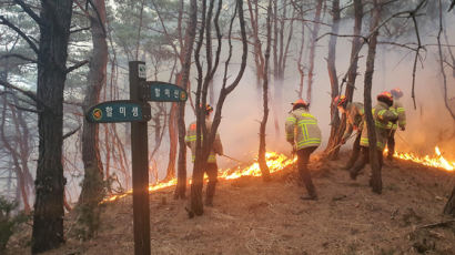 주민 200명 마을회관 대피...경북 상주, 화목보일러로 산불? 
