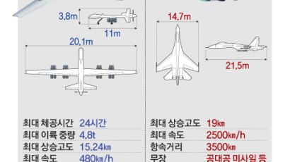 러 전투기 도발에 미 무인기 추락…냉전 이후 첫 군용기 충돌