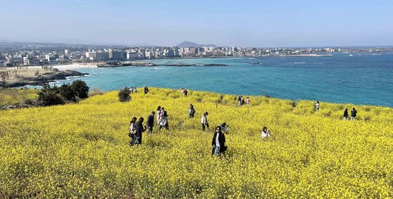 〈YONHAP PHOTO-2619〉 제주의 봄   (제주=연합뉴스) 박지호 기자 = 18일 제주시 조천읍 함덕 서우봉에 상춘객들이 찾아 유채꽃과 바다를 보며 제주의 봄을 만끽하고 있다. 2023.3.18   jihopark@yna.co.kr/2023-03-18 13:38:23/ 〈저작권자 ⓒ 1980-2023 ㈜연합뉴스. 무단 전재 재배포 금지.〉