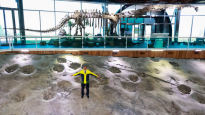“한국에 석유가?” 불붙은 탐사…세계 최대 공룡화석지 찾아내