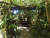 미크로네시아 연방 폰페이섬 돌로프우르푸르에 설치된 포의 모습. 2차 세계대전 당시 일본군은 폰페이섬과 인근 작은 섬에 포를 최소 10문 이상 설치했다. 사진 미크로네시아연방 관광국 홈페이지 캡처
