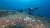 이 나라는 2차 세계대전 격전지로 당시 침몰된 배들이 바다에 많이 수장돼 있어 난파선 다이빙 관광으로 유명하다. 사진 미크로네시아연방 관광국 캡처