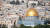 예수 당시 유대의 예루살렘 성전이 있던 자리에 지금은 이슬람 모스크가 서 있다. 이슬람교를 창시한 무함마드가 이곳에서 승천했다고 해, 이슬람교 3대 성지 중 하나로 꼽힌다. 백성호 기자