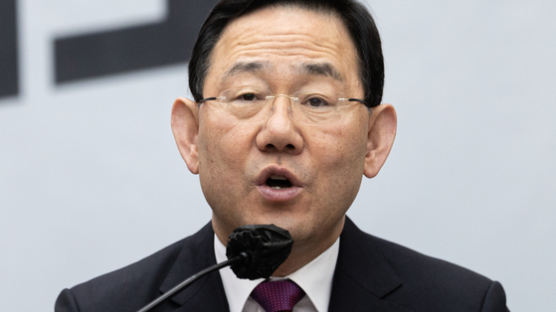 주호영 “핵보유 여론 높다…한미 양국 진일보한 북핵 대응방침 밝혀야”
