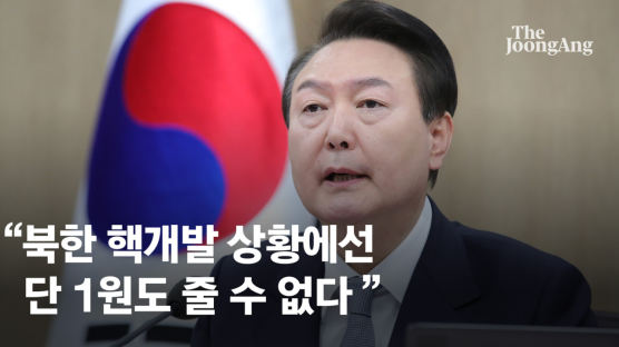[속보] 尹대통령 "북한 핵개발 상황에선 단돈 1원도 줄 수 없다"