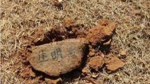 훼손된 이재명 부모 산소서 발견된 돌, 마지막 글자 밝혀졌다