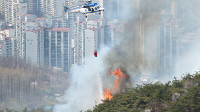 인왕산 산불 잔불정리 중…"화재 원인 모든 가능성 열어두고 조사"