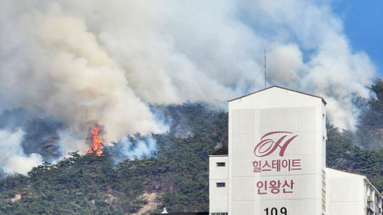 인왕산 화재에 헬기 15대·580명 투입…축구장 21개 면적 피해