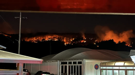 인왕산 주변 아파트 등 120가구 대피…홍성 산불은 마을 덮쳐