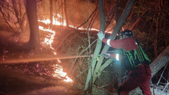 산불 34곳 동시에 불붙었는데…산불진화대 전국에 겨우 182명