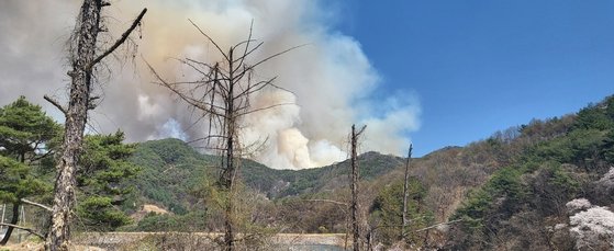 2일 대전 서구 한 산에서 불이 나 산림 당국이 진화하고 있다. 연합뉴스