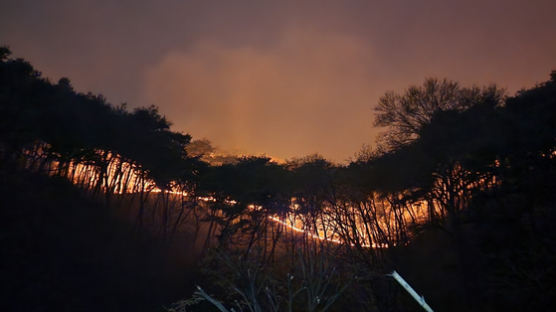 마을회관서 뜬눈으로 밤 지새워...홍성 산불 69%, 대전은 70% 진화
