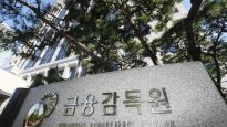 '가짜직위' 46명 파견한 금감원...은행권 대출제도 점검도 소홀