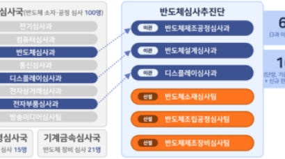 특허청, 주요국 최초로 반도체전담심사국 만든다